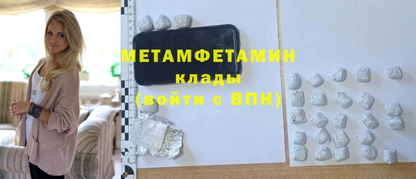 прущие грибы Гусев