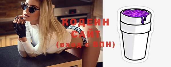 прущие грибы Гусев