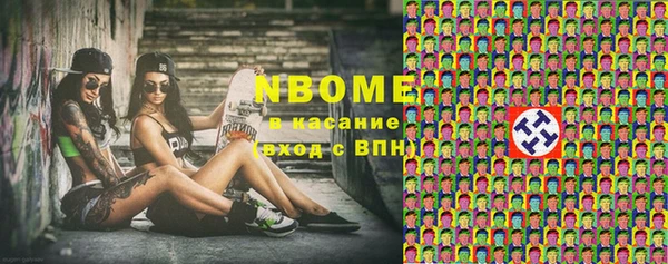 прущие грибы Гусев