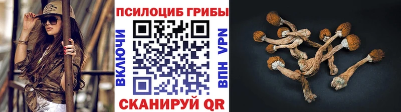 Купить закладки  Павлово  Галлюциногенные грибы Psilocybine cubensis 