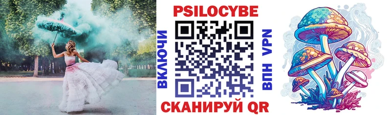 Псилоцибиновые грибы Cubensis Павлово